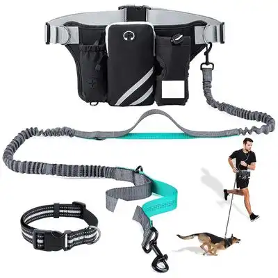 UAMLY Correa para perros manos libres con bolsillo con cremallera - 1 correa - Uamly - Comparador de precios