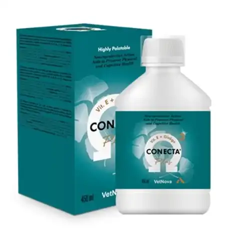 VetNova Conecta Plus Suplemento Neuroprotector para Perros y Gatos Solución Oral, 450 ml - VetNova - Comparador de precios