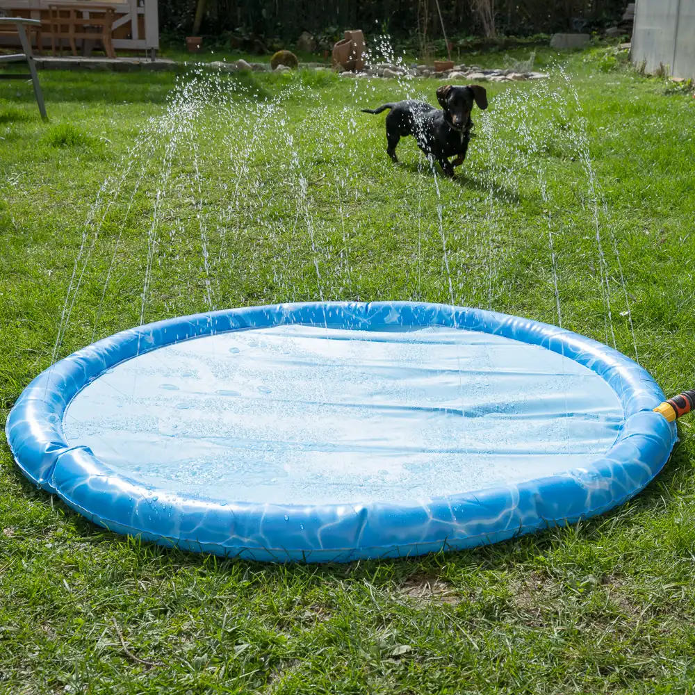 Piscina TIAKI Splash para perros  - 120 cm diámetro