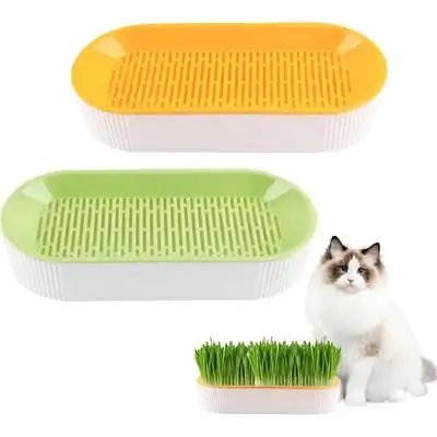 ZooVenture Kit de cultivo de hierba gatera (hidroponía) - 2 piezas - Juego de 2 piezas - Zooventure - Comparador de precios