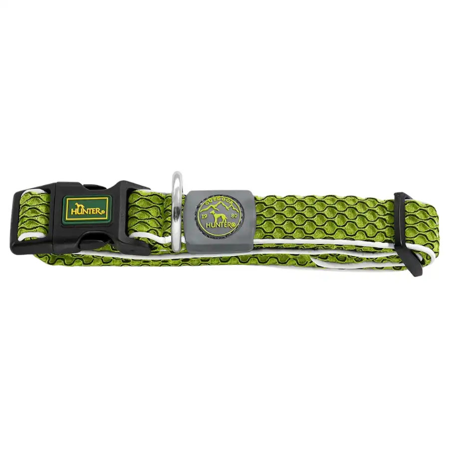 Hunter Hilo Vario Basic Collar verde para perros