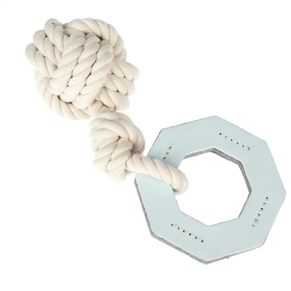 Modern Living Vigo para perros - 30,5 x 13 x 9,5 cm (L x An x Al)