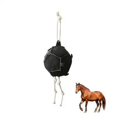 ZooVenture Bola de zanahoria para caballo - Artículo 1 - Zooventure - Comparador de precios