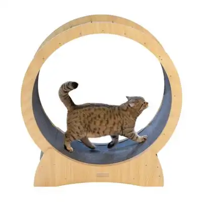 Rueda de ejercicio Kerbl Pet para gatos - 90 cm de diámetro - Kerbl Pet - Comparador de precios