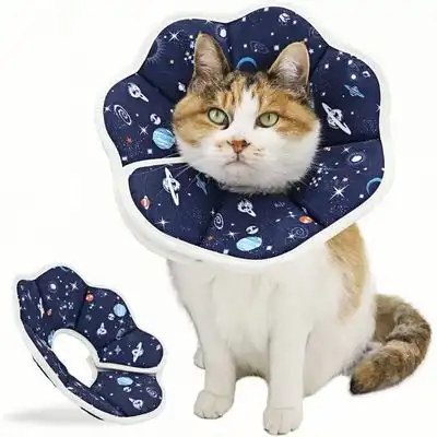 ZooVenture collar cónico para gatos - S - Zooventure - Comparador de precios
