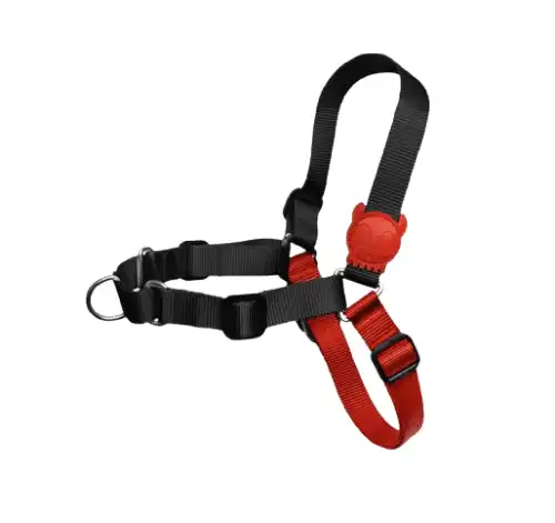 Arnés Zee.dog SOFT-WALK FATBOY L - Zee.dog - Comparador de precios