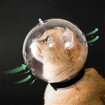 MCBOSON Bozal transpirable anti-mordeduras y anti-lamido para gatos - 1 pieza - Mcboson - Comparador de precios