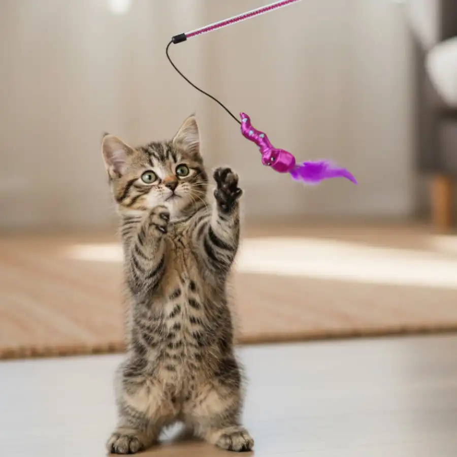 Tootoy! Caña Interactiva con Peluche de Serpiente para gatitos - Tootoy! - Comparador de precios