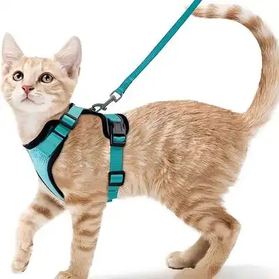 FurryFusion Arnés de tracción para gatos - Artículo 1 - Furry Fusion - Comparador de precios