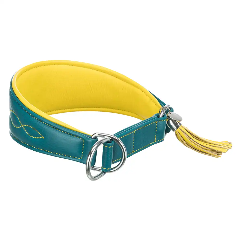 Collar para galgos Trixie Active Comfort verde petróleo/amarillo - Talla S–M: 33–42 cm de cuello, 60 mm de ancho