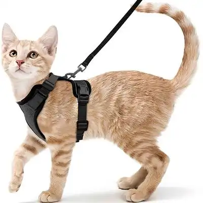 FurryFusion Arnés de tracción para gatos - Artículo 1 - Furry Fusion - Comparador de precios
