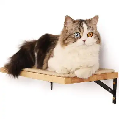 HausPets Estante Flotante Gato 39,7x25,4cm, Rascador Sisal, Hevea - 39,7x25,4cm - HausPets - Comparador de precios