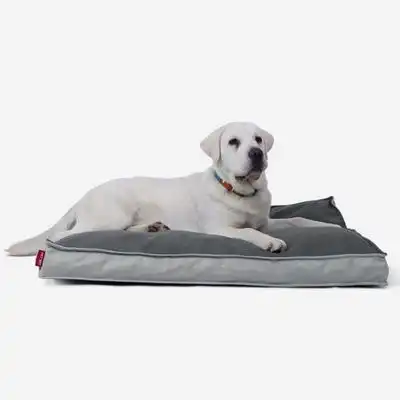 IntiMeg Cama rectangular impermeable para perros - M: 76*51*7,5 cm - IntiMeg - Comparador de precios