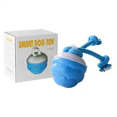IntiMeg Pelota interactiva recargable para perros - Una pieza - IntiMeg - Comparador de precios