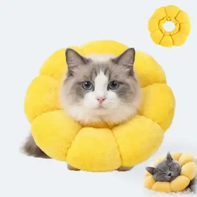 ZooVenture Collar protector para gatos con diseño de girasol - Circunferencia del cuello (S): 12 a 20 cm - Zooventure - Comparador de precios