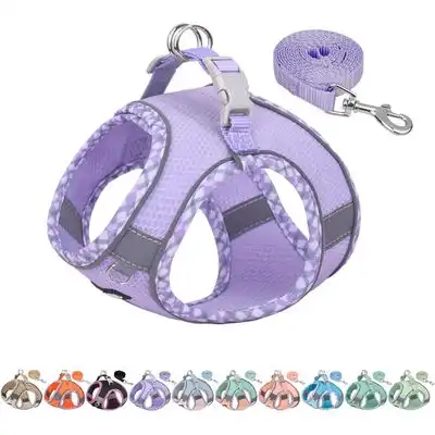 HausPets Arnés antitirones morado para cachorros/gatos, talla XS - 1 artículo - HausPets - Comparador de precios