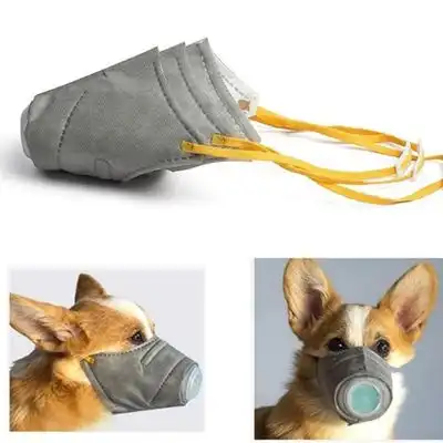 IntiMeg Mascarilla anticontaminación para mascotas - L - IntiMeg - Comparador de precios