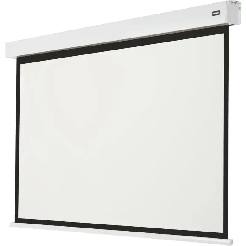 Celexon Motor Professional Plus Pantalla de Proyección con Batería V2.0 280x210cm 16:9