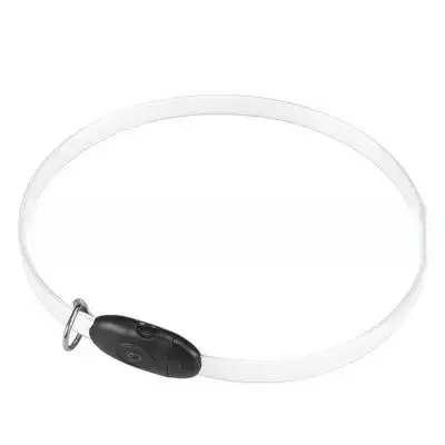 FurryFusion Collar luminoso para perros - Artículo 1 - Furry Fusion - Comparador de precios