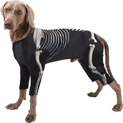 IntiMeg Disfraz de esqueleto para perros medianos - Longitud del cuello: 26-34 cm - IntiMeg - Comparador de precios