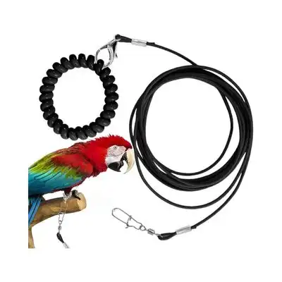 ZooVenture Correa de vuelo para pájaros y loros - negro - Zooventure - Comparador de precios