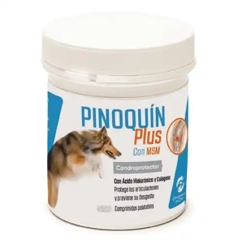 Condroprotector Pinoquín Plus para perros y gatos