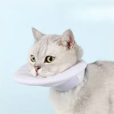 IntiMeg collar protector para gatos - Talla M: cuello de 18 a 28 cm, profundidad de 13,5 cm. - IntiMeg - Comparador de precios