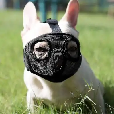 MCBOSON Bozal para perros de hocico corto - L - Mcboson - Comparador de precios