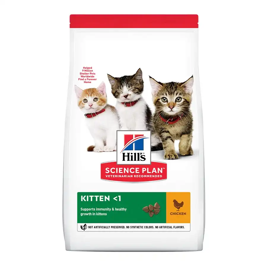 Hill's Science Plan Kitten Pollo pienso